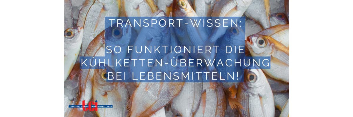So funktioniert die Kühlketten-Überwachung bei Lebensmitteltransporten - 