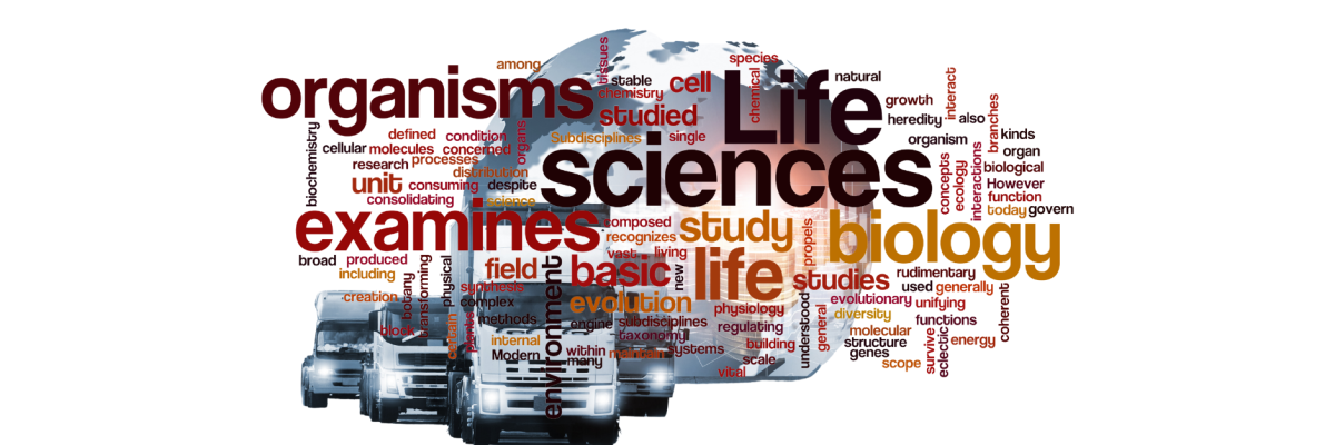 Safety for your valuable life science products - rely on our effective monitoring systems! - 