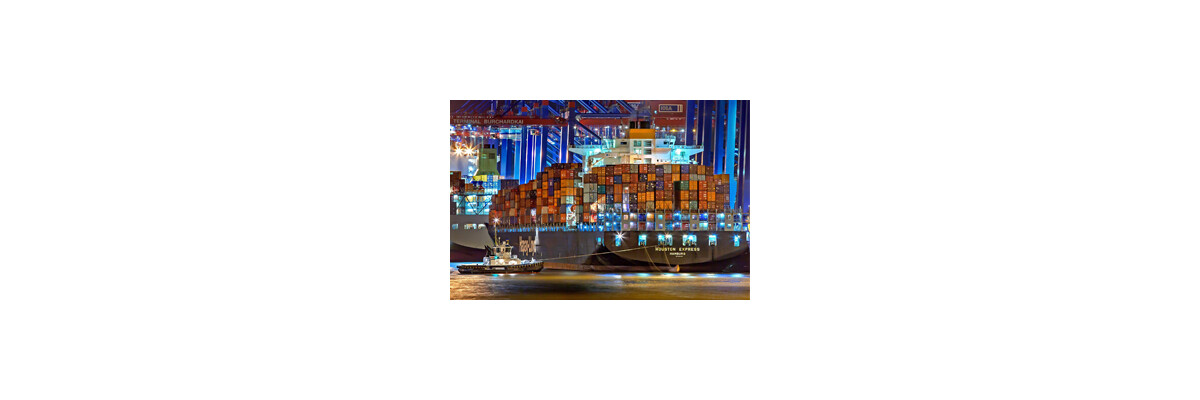 Seetransporte: Mit Riskmanagement Transportschäden reduzieren - 