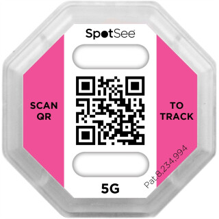 5g